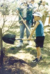 Matthew Callo adds a shovel-full of soil to the base of a new dogwood tree