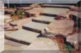 Stone Patios and Stone Steps